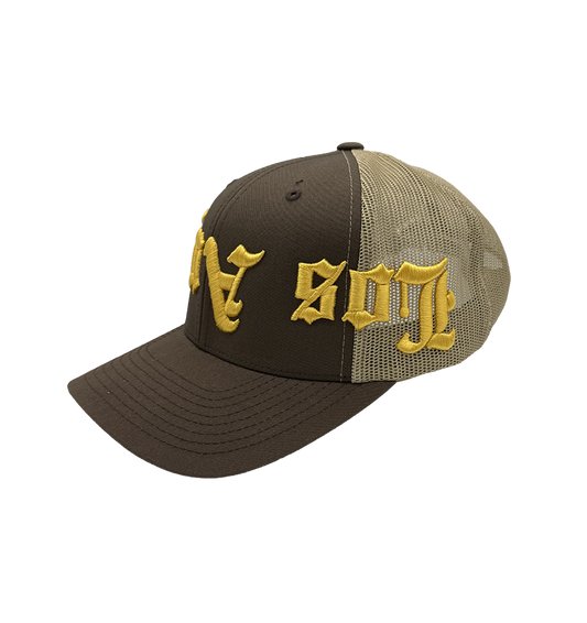 Los Angeles Vertigo Box Brown Trucker