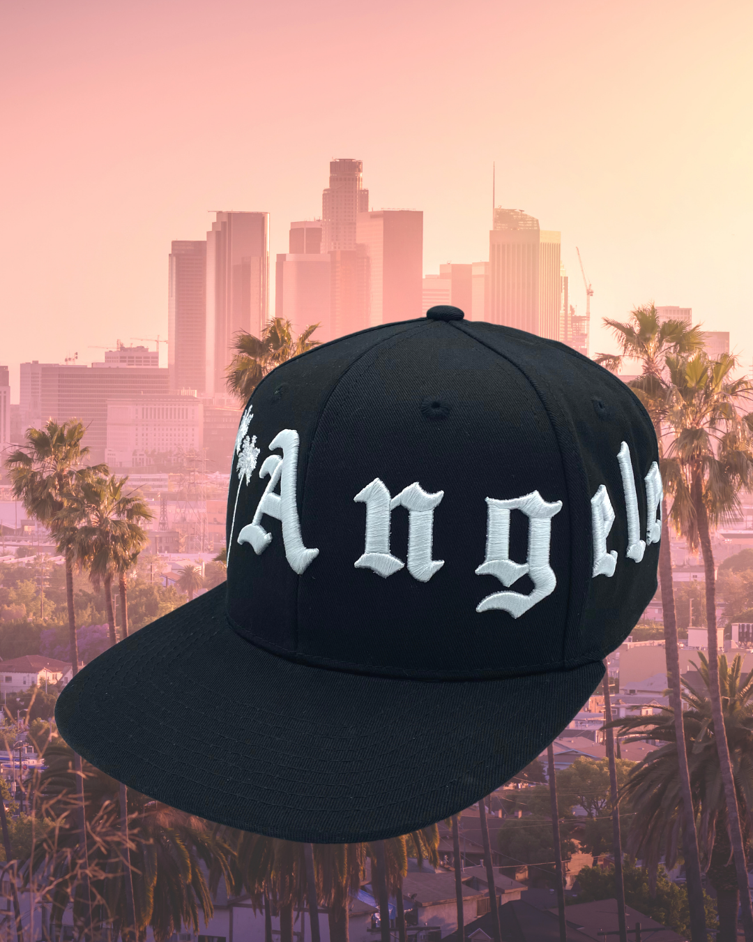 Los Angeles 360 Snapback