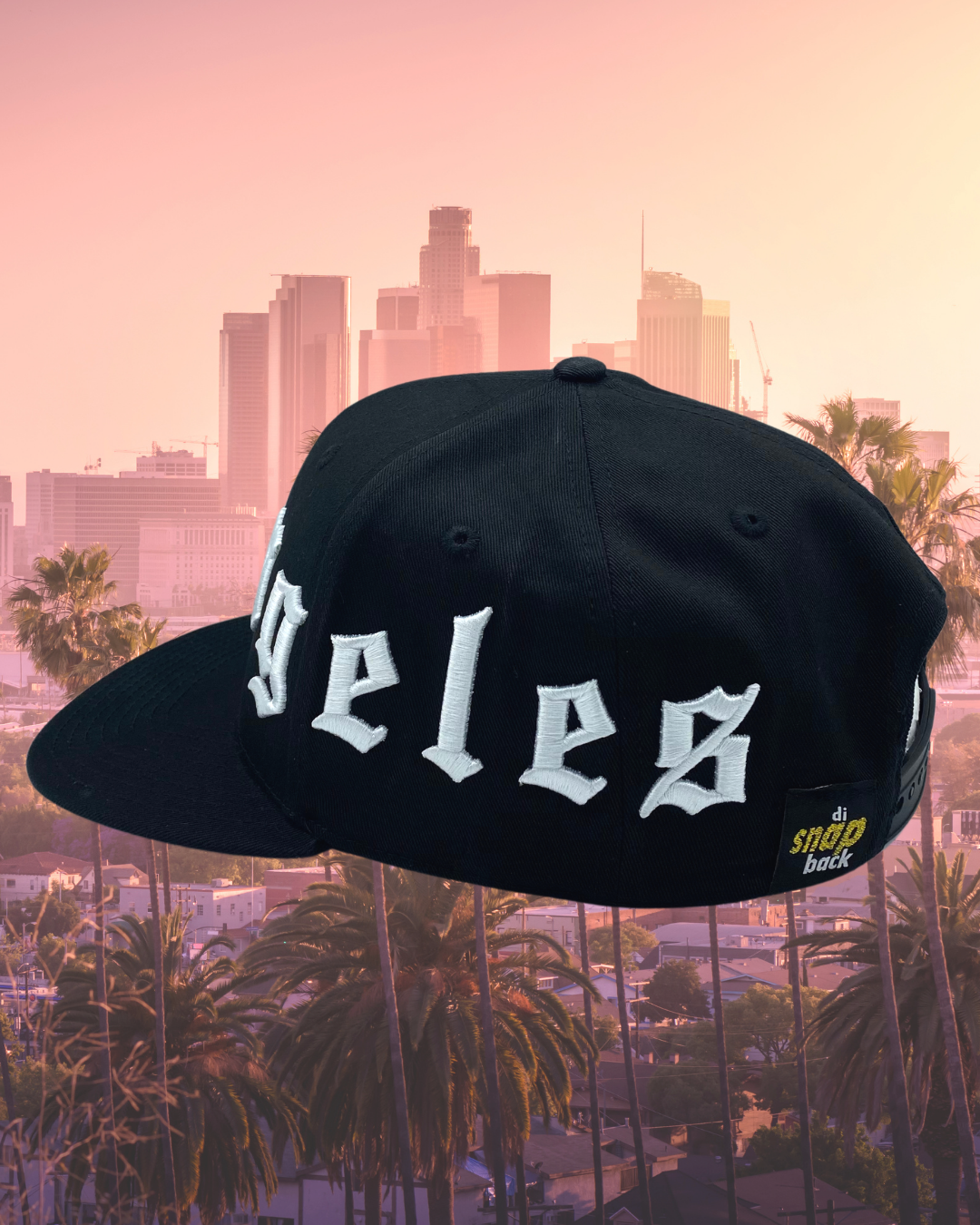 Los Angeles 360 Snapback