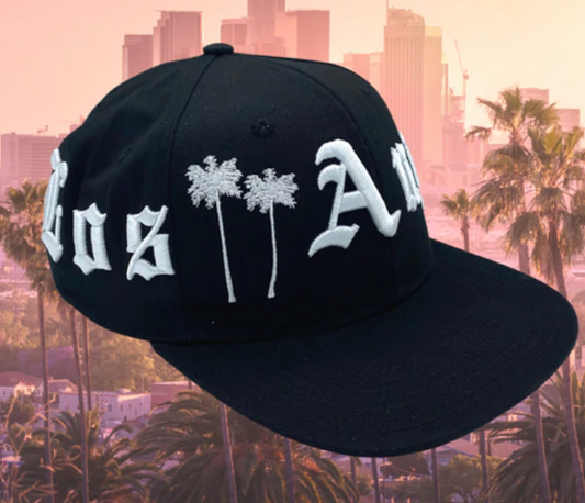 Los Angeles 360 Snapback