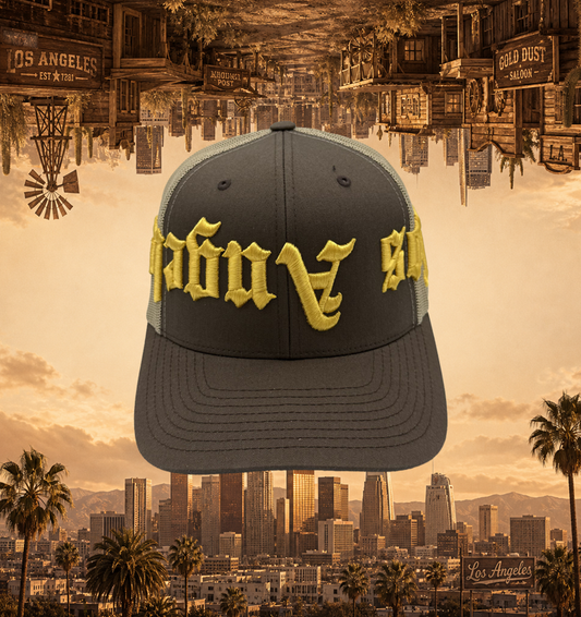 Los Angeles Vertigo Box Brown Trucker