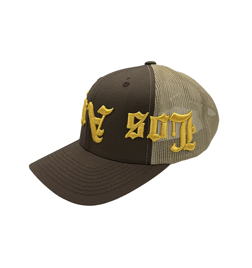 Los Angeles Vertigo Box Brown Trucker