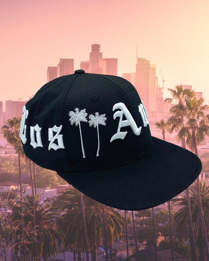Los Angeles 360 Snapback