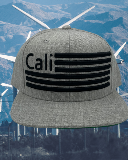 Cali Lines Snapback Collection