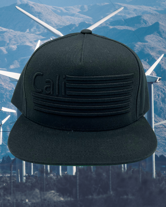 Cali Lines Snapback Collection